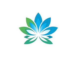 A symmetrical floral illustration with overlapping petals in shades of green and blue, resembling a stylized lotus flower