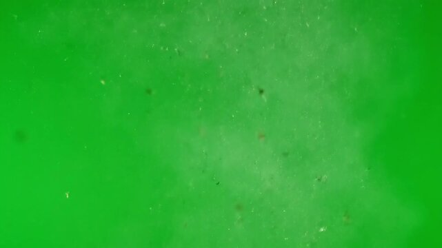 Green screen with dust particles and debris floating slowly downwards in the air
