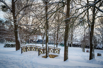 Snow-covered path in a city park during winter. Bare trees and frozen ground in cold seasonal landscape.