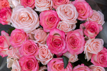 Fototapeta premium Pink and peach roses creating a vibrant floral bouquet for love and romance