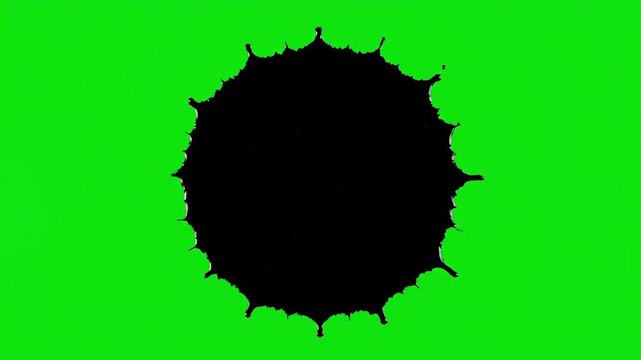 Black ink splatter on green screen background transitioning from smooth circle to dynamic splatter effect in three sequential images