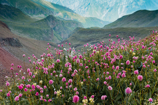 Panorama of caucasian Kazbegi mountain and architecture of ancient Georgia. drama sky, mountain peaks, high resolution photo.