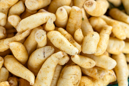 Arracacha in the traditional Colombian market - Arracacia xanthorrhiza