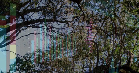 Displaying leafy tree branches and trunk against pale blue sky with colored bar charts