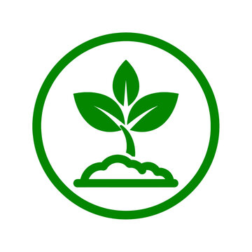 Green Plant Sprout Icon in Circle, Eco Friendly Seedling and Nature Growth Symbol for Sustainability Logo