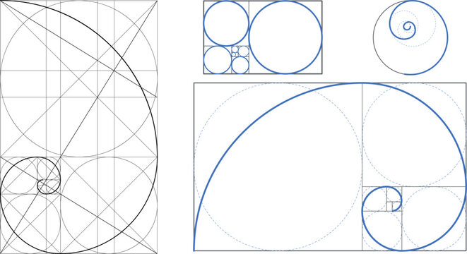 Fibonacci Golden Ratio Spiral Vector with Rectangle Grid Proportion Diagram