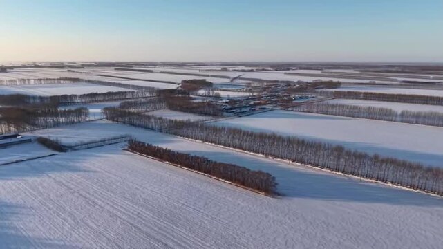 Cinematic 1080p drone footage flying forward over pristine, snow-covered agricultural fields in Northern China. The shot reveals a traditional rural village and rows of bare trees under the warm glow 