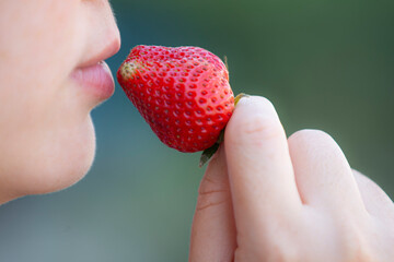 Fresh strawberries in woman hand on nature background. Healthy food concept.