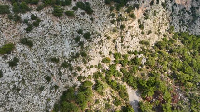 Cinematic high-angle aerial drone video capturing the rugged limestone cliff face with sparse green bushes and small trees. Detailed geological textures of a mountain slope in wilderness.