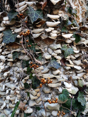 冬枯れの森の散歩。陽だまりが優しい。マムシグサが朱色の実を付けたまま倒れていた。モノトーンの森の中、直射日光を浴びて、マムシグサはひと際鮮やかに目立っていた。森は、あたかも静かな長い眠りについているようだ。歩きつつ空を仰ぎ、足元のシダを眺め、樹木に絡みつく蔦を目で追った。ぐんぐん空に向かって伸びている蔦。誰も居ない森の中。でもたくさんの生命体が息づいている。私も息づいている。