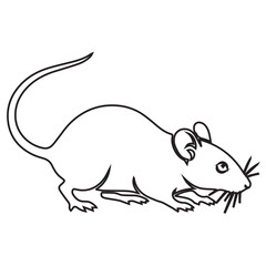 Obraz premium Rat Animal Drawing
