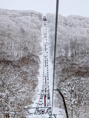 POV shot looking up long chairlift line surrounded by white snowy trees on winter day