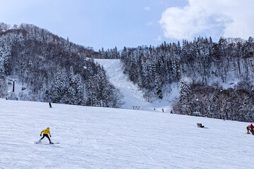 Winter sports enthusiasts on a sunny ski run with snow-covered trees behind
