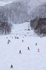 Winter scene at Nagano ski resort featuring a chairlift, snow-covered trees, and active tourists