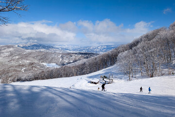 Winter landscape view of snow-covered mountains and trees in Nagano Prefecture