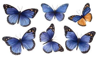 A collection of watercolor-style large blue flash butterflies, showing different postures of monarch butterflies