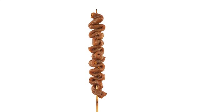 Sate skewer with usus meat on a stick, isolated on a white background, viewed from the front