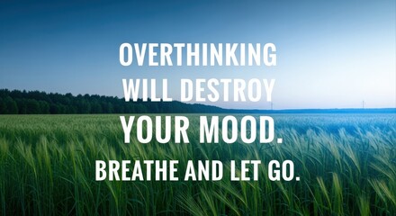 Fototapeta premium Serene Field with Inspirational Quote: Overthinking Will Destroy Your Mood, Breathe and Let Go