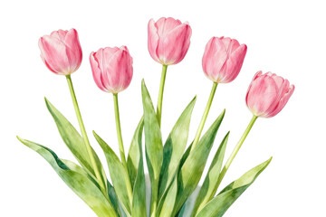 Fototapeta premium Bouquet of Pink Tulips with Green Leaves