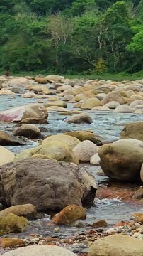 water flowing between smooth stones in a shallow stream in Sylhet. Low angle vertical pan