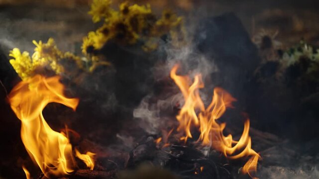 Sacred fire burns with smoke and flowers during Mayan ceremony