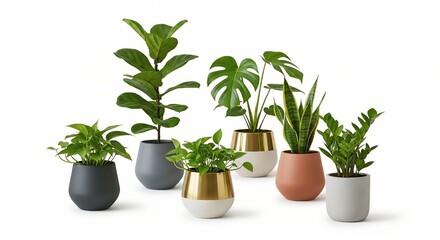 Fototapeta premium Collection of diverse houseplants in modern decorative pots arranged for interior design and home decor concepts isolated on white background