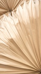 Obraz premium Close up of dried palm leaves in beige tones with textured details