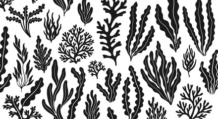 Black seaweed illustrations on white. © ahmad