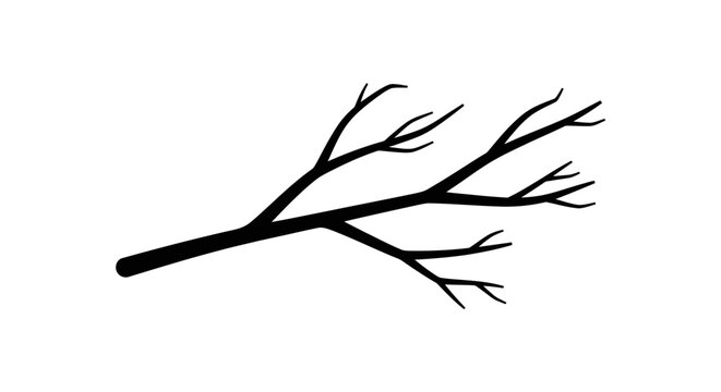 Black silhouette of a tree branch.
