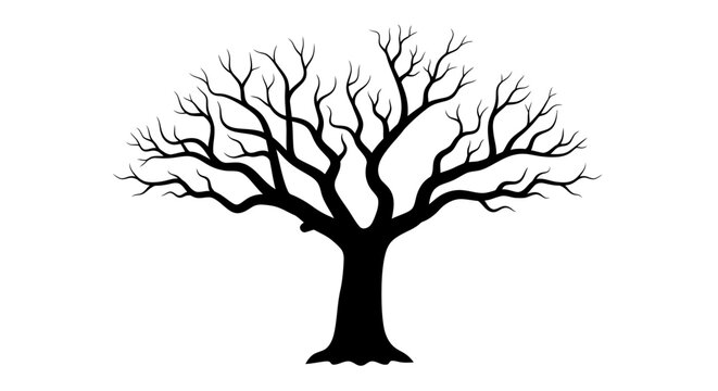 Leafless Tree Silhouette Black Branches.