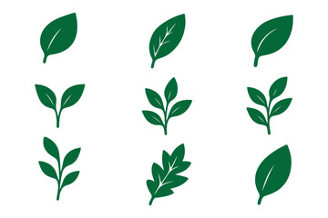Green eco-friendly leaf icon set in minimalist style showing different leaf shapes for sustainability and nature theme