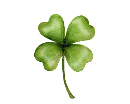 Green four leaf clover watercolor isolated on white background ,St. Patrick's Day Watercolor