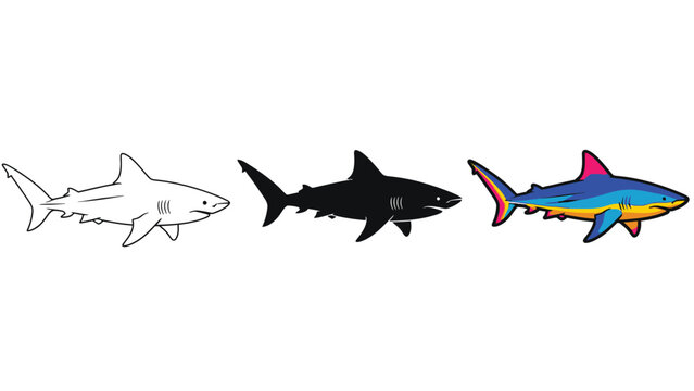 Collection of three distinct shark vector graphic styles including an outline silhouette and a brightly colored modern illustration
