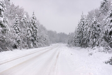 Fototapeta premium Snow-covered forest road surrounded by winter trees after snowfall