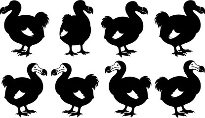 Set of extinct dodo bird silhouettes in various poses, isolated black vector illustrations for history, paleontology, and nature conservation themes © Shopna
