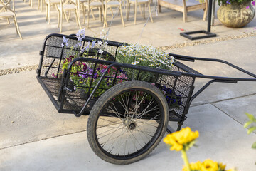 Obraz premium Charming rustic wedding decoration featuring black flower cart for an outdoor ceremony. This romantic floral arrangement creates beautiful atmosphere for celebration