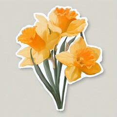 bouquet of daffodils