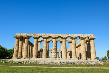 Obraz premium Robust Doric columns of the ancient Basilica at Paestum, Italy, rise above grassy archaeological grounds under a vivid blue sky. The weathered stone structure is framed by rustic fencing and open
