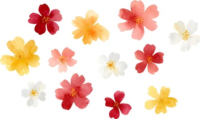 Obraz premium A collection of watercolor-style small flower materials, consisting of 5 petals, various colors of small flowers
