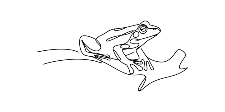 Minimalist continuous line drawing of a frog sitting on a branch on white background Vector, illustration