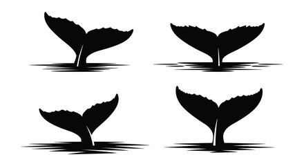 Four whale tails emerging from water a striking silhouette © Full