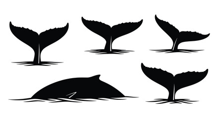 Whale tails breaching the surface a striking black silhouette © Full