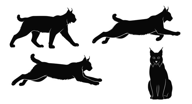 Four black silhouettes of bobcats in various poses wildlife art silhouette