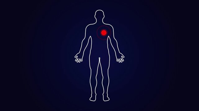 Human Silhouette Medical Diagram Highlighting Chest Heart Area For Health and Anatomy Education