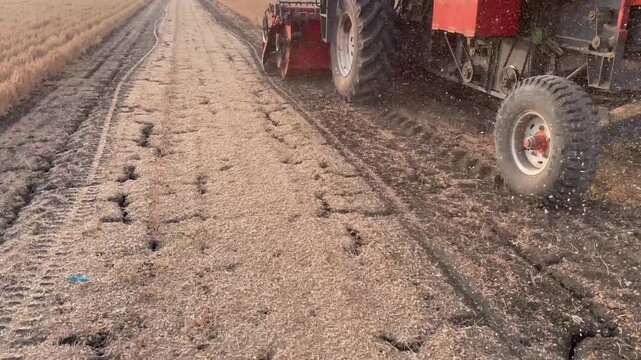 bengal gram or garbanzo beans combine harvester releasing chaff and debris during harvest