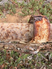 Detailed view of a post cap on a seaside fence above the bluffs in Carlsbad, California.