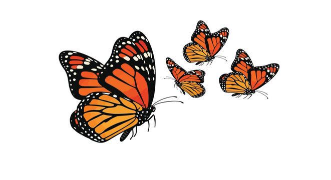 A group of vibrant monarch butterflies in mid flight against a white background