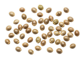 A collection of whole roasted cashews scattered on a white surface, isolated on transparent background