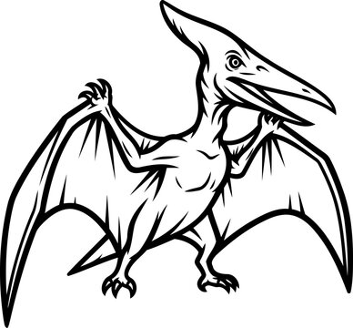 Flying pteranodon reptile with wide wingspan