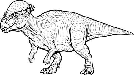 Fototapeta premium Pachycephalosaurus bone headed dinosaur sketch